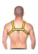 Prowler Red Bull Harness - Small - Black/yellow