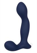 Viceroy Platinum Series Expert Silicone Probe - Blue