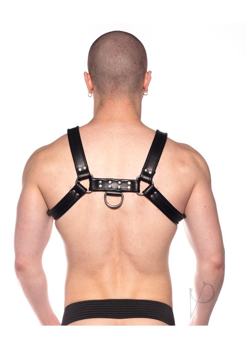 Prowler Red Bull Harness - 2xlarge - Black